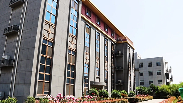 Company Profile