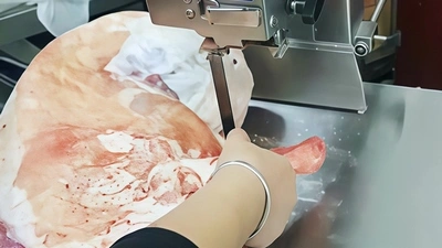 Bone Band Saw