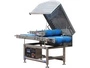 Fresh Meat Slicing Machine