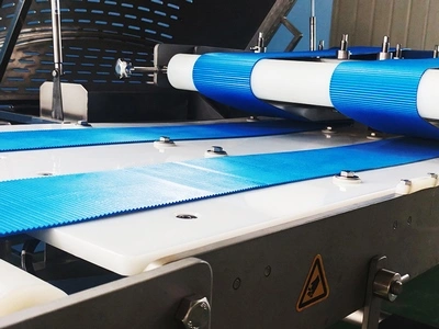 Conveyor Belt