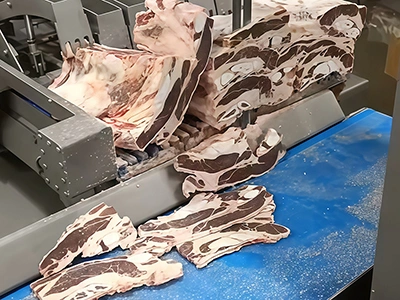 Ribs