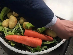 Vegetable fillings