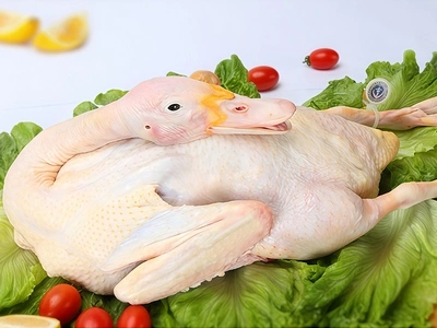 Duck