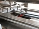 Burger Patty Forming Machine (240mm Belt Width)