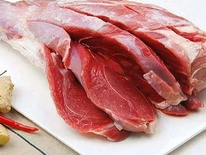 Lamb