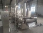 Continuous Deep Fryer